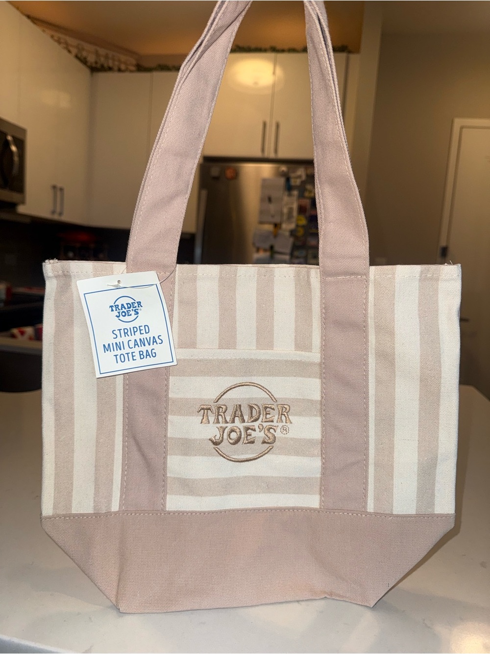 Trader Joe's Tan Striped Mini Canvas Tote